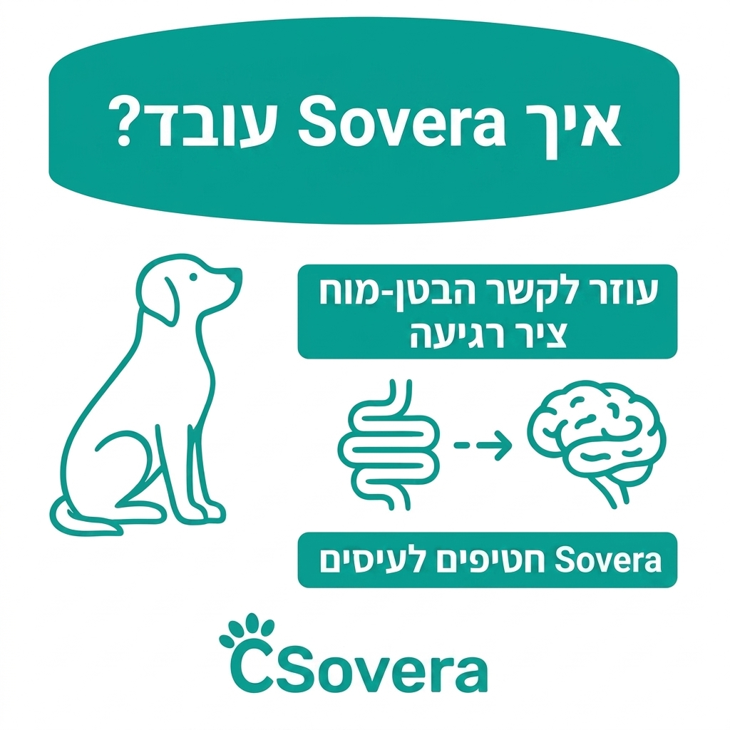 תגידו ביי לבעיות העיכול שמשגעות את הכלב שלכם – עם חטיפי הלעיסה של sovera!