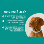 תגידו ביי לבעיות העיכול שמשגעות את הכלב שלכם – עם חטיפי הלעיסה של sovera!