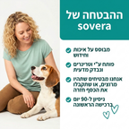 תגידו ביי לבעיות העיכול שמשגעות את הכלב שלכם – עם חטיפי הלעיסה של sovera!